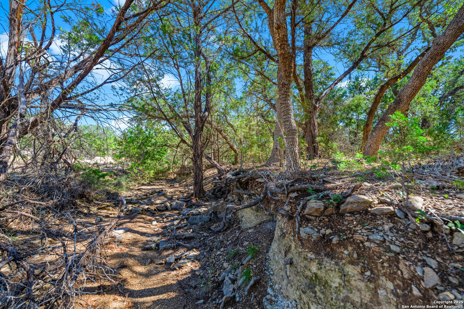 34720 Ansley Ridge Bulverde TX 78163