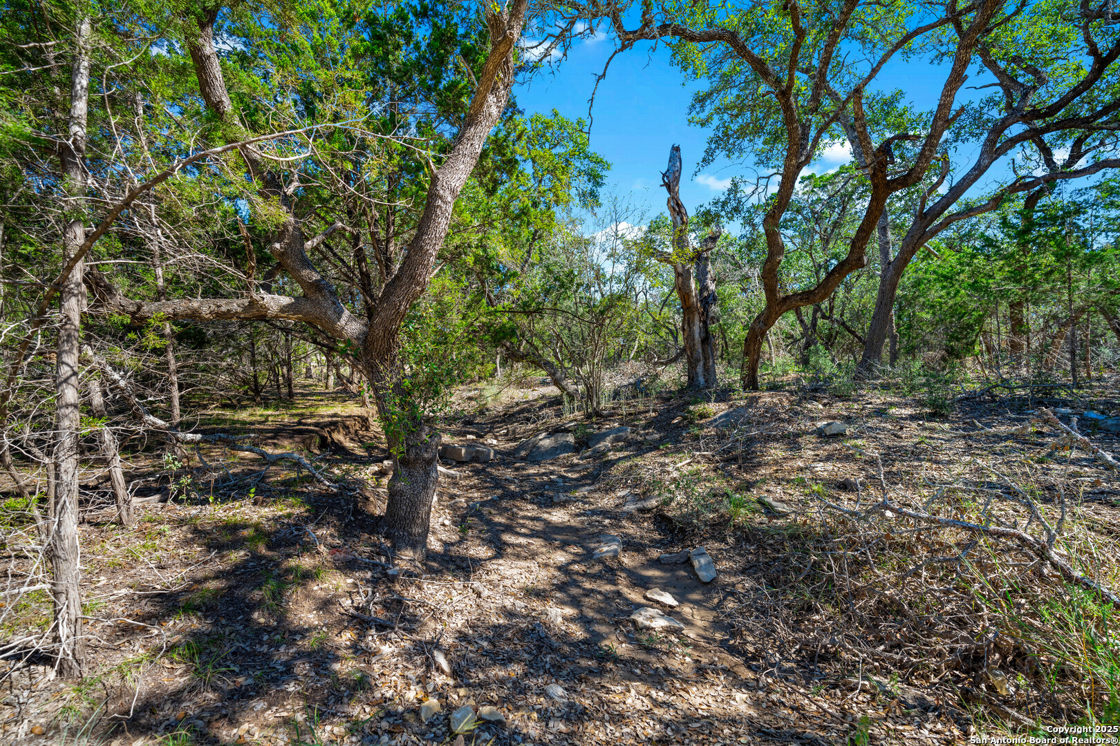 34720 Ansley Ridge Bulverde TX 78163