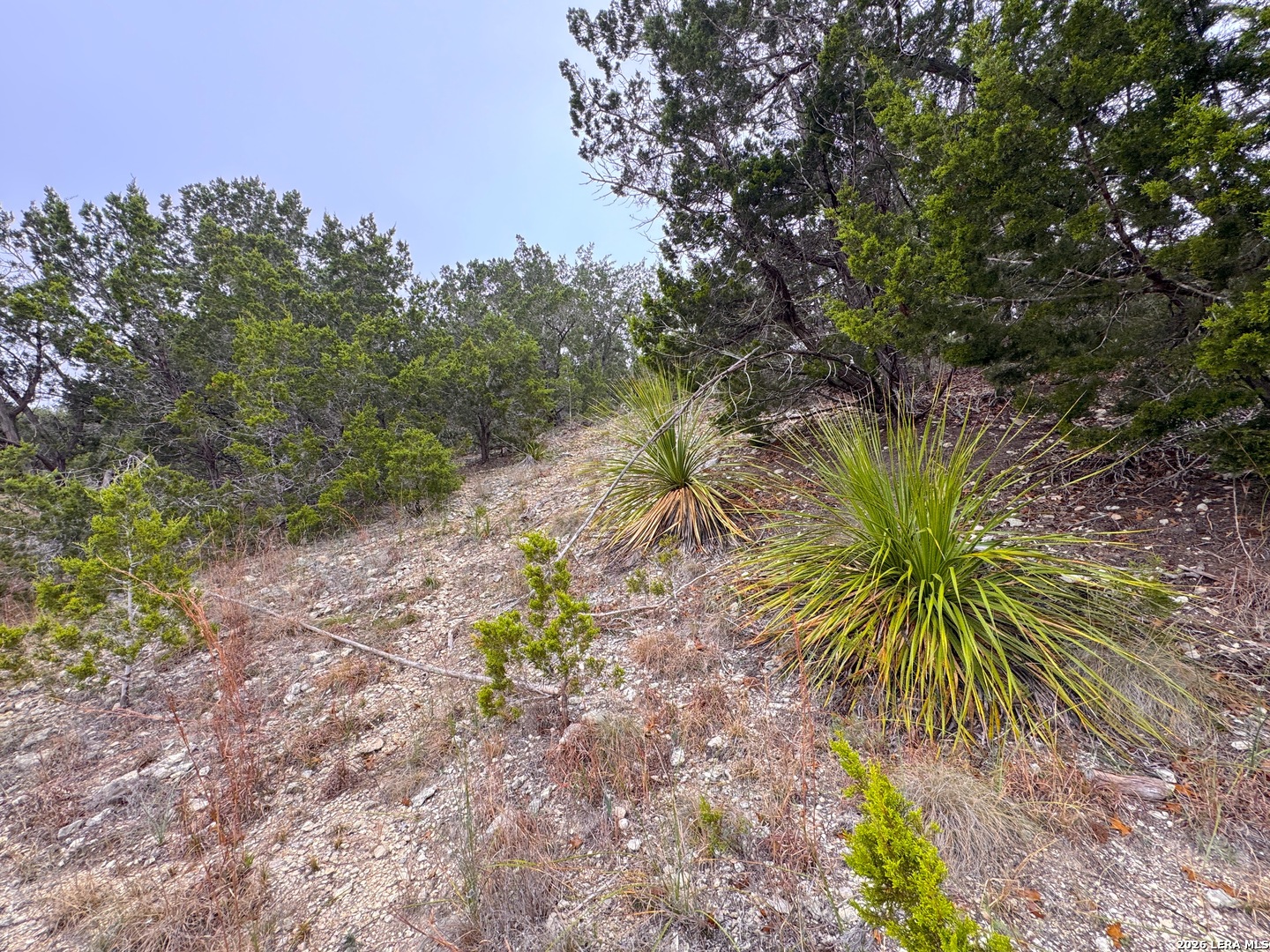 615 Caballo Canyon Lake TX 78133