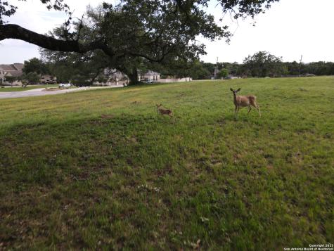 0 Bat Cave Road Garden Ridge TX 78266