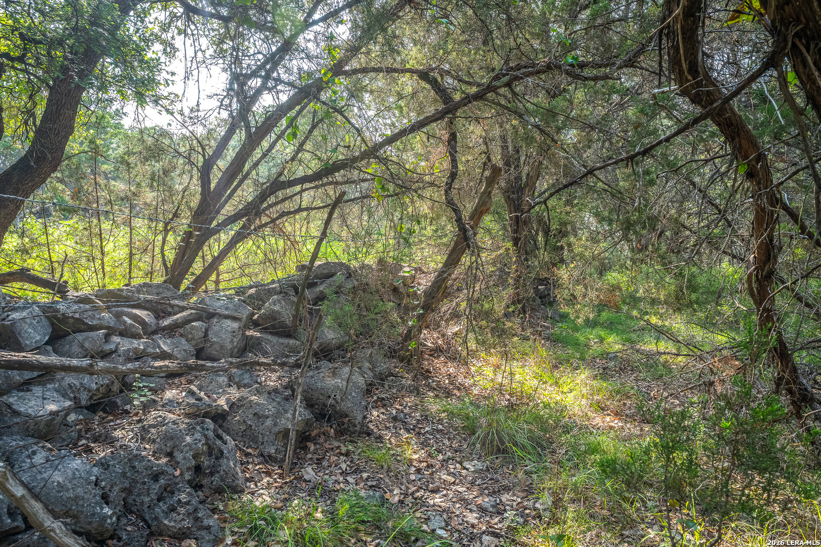 9918 Kopplin Road New Braunfels TX 78132