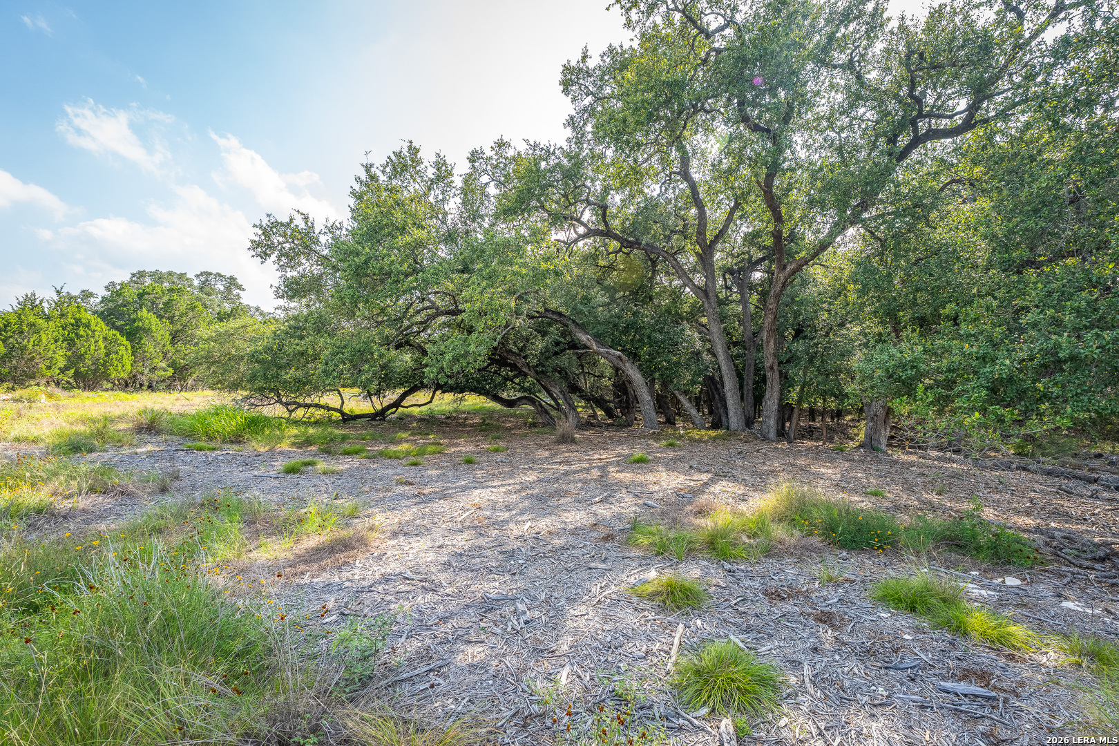 9918 Kopplin Road New Braunfels TX 78132