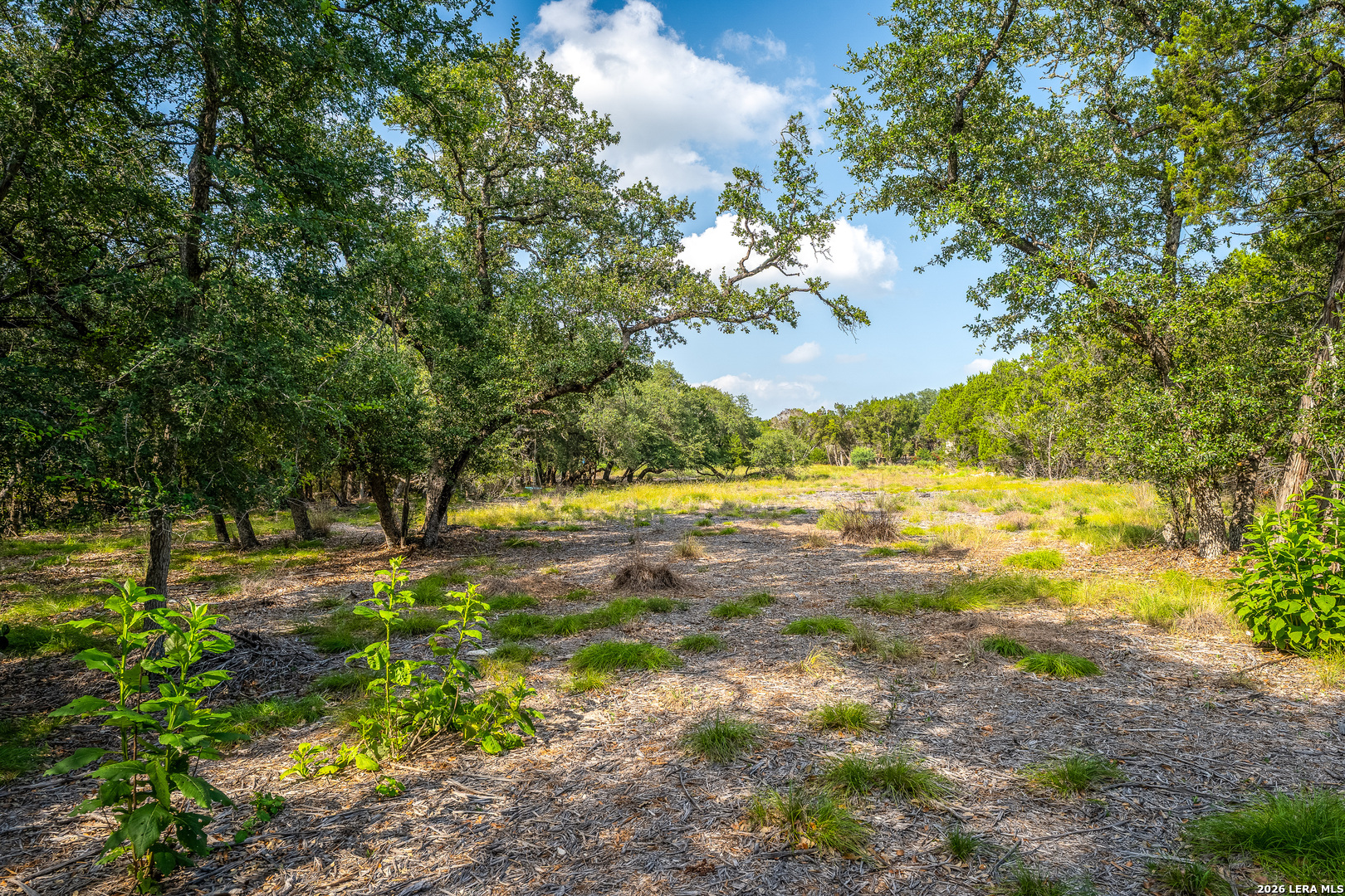 9918 Kopplin Road New Braunfels TX 78132