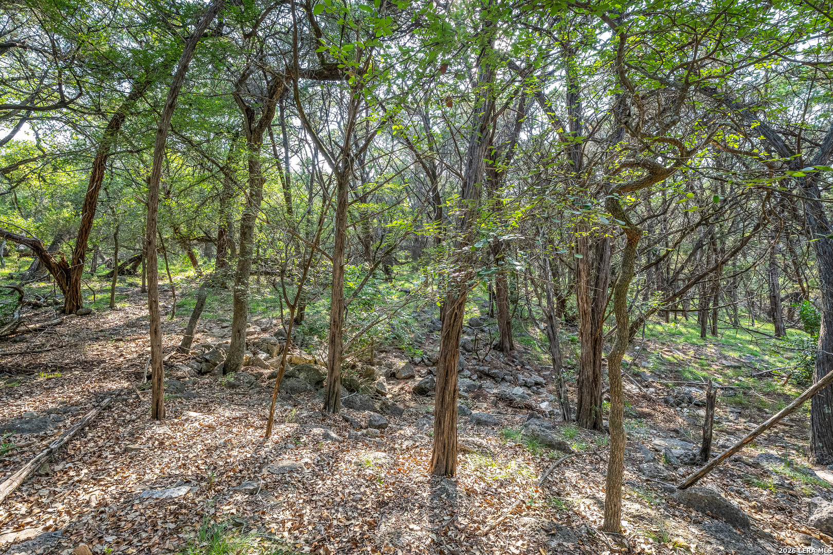 9918 Kopplin Road New Braunfels TX 78132