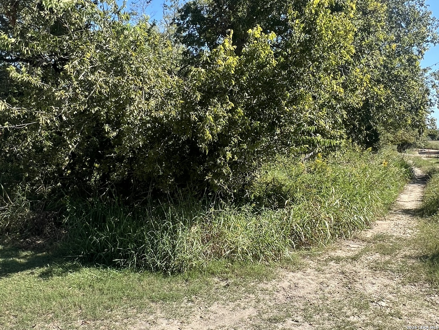 0 Deerfield Drive Selma TX 78154