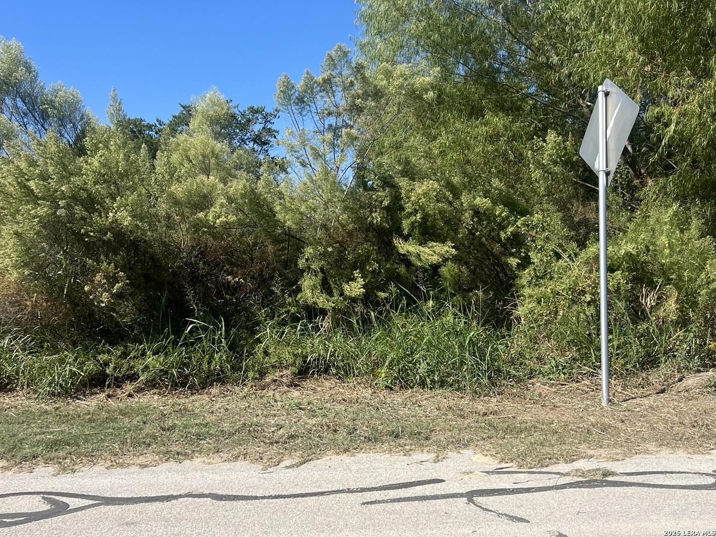 0 Deerfield Drive Selma TX 78154