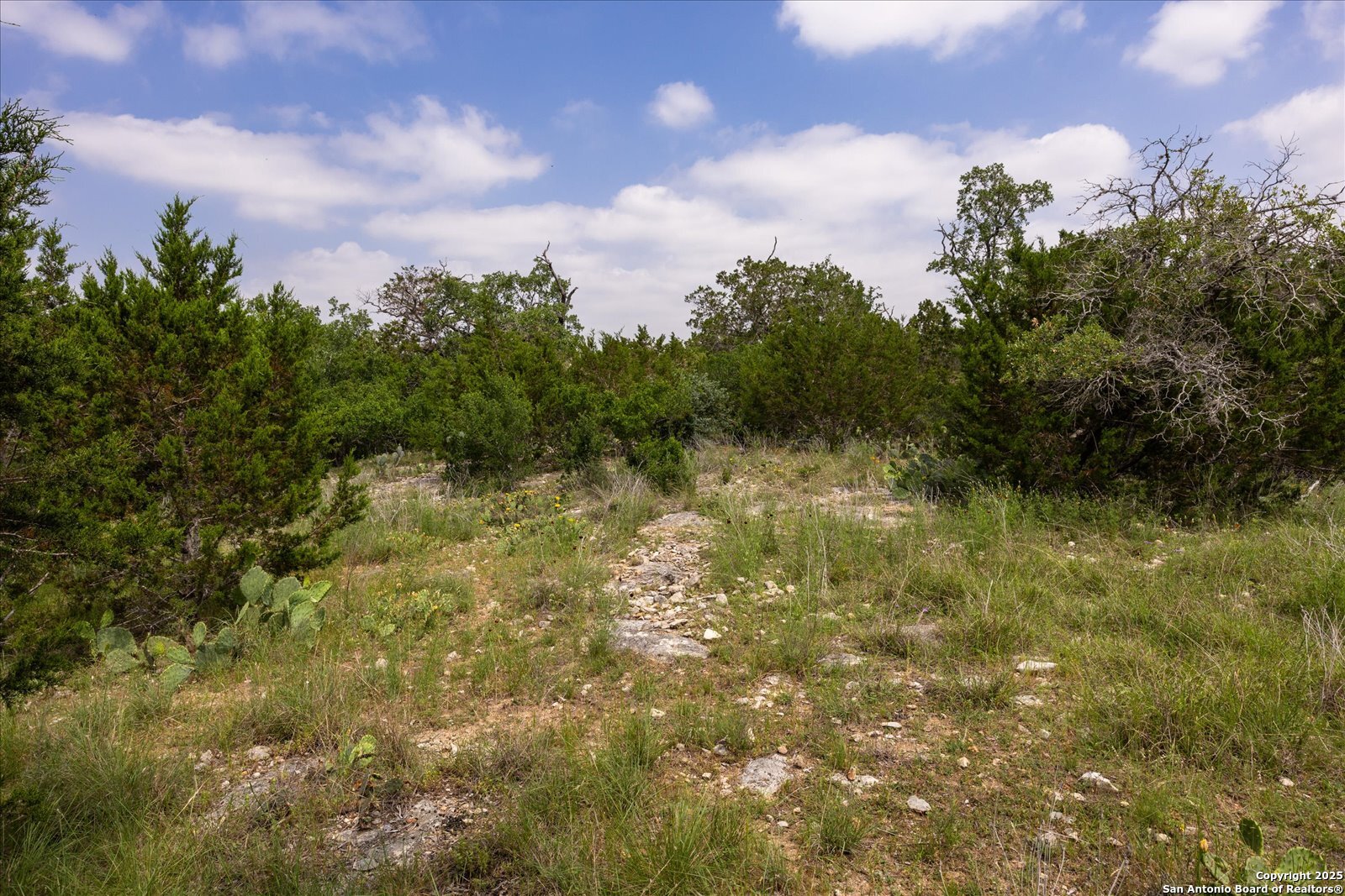 000 Oakridge Trail Pipe Creek TX 78063