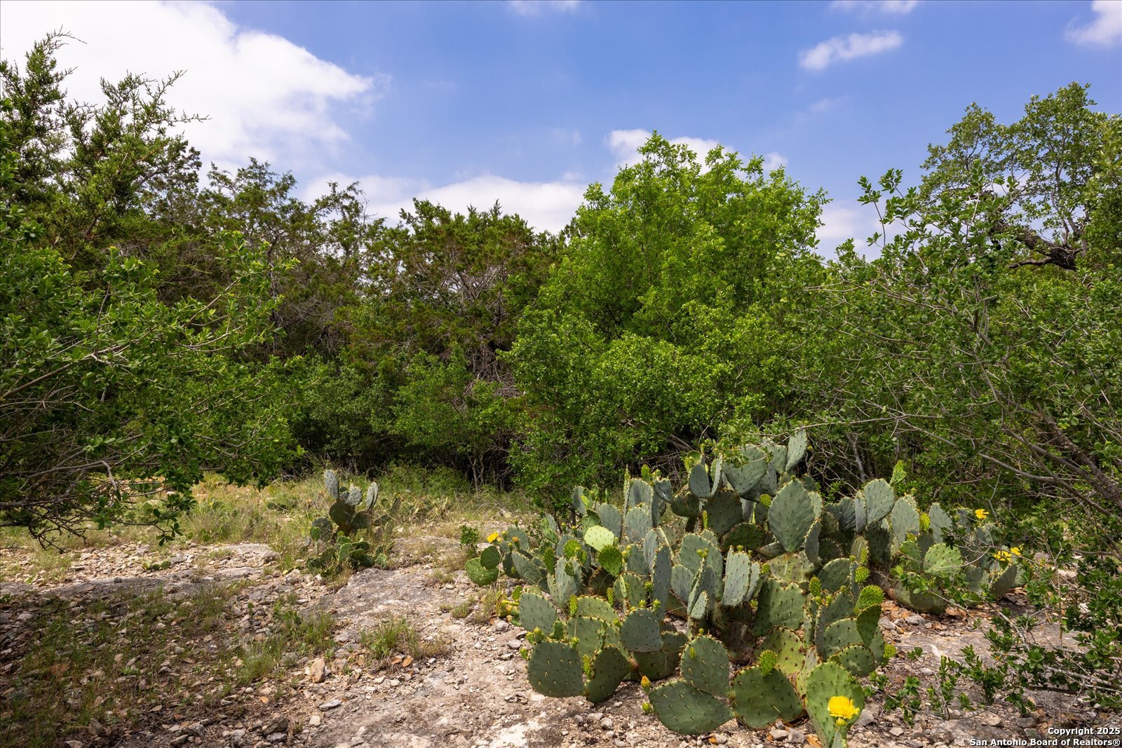 000 Oakridge Trail Pipe Creek TX 78063