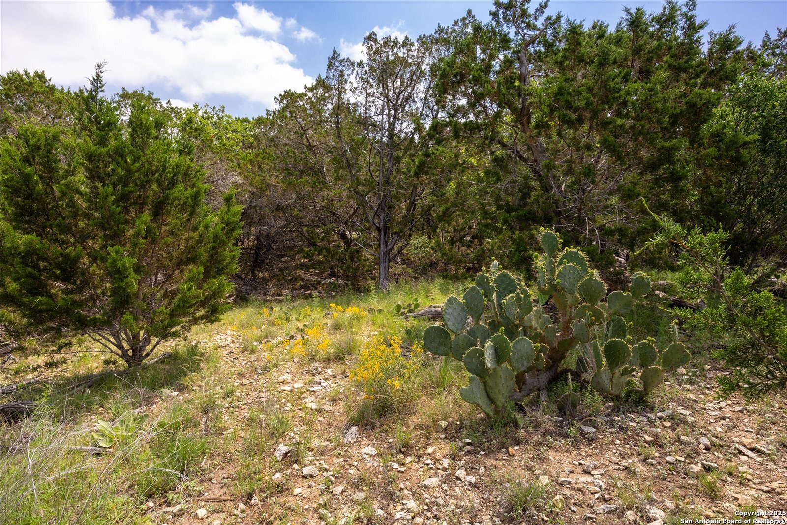 000 Oakridge Trail Pipe Creek TX 78063