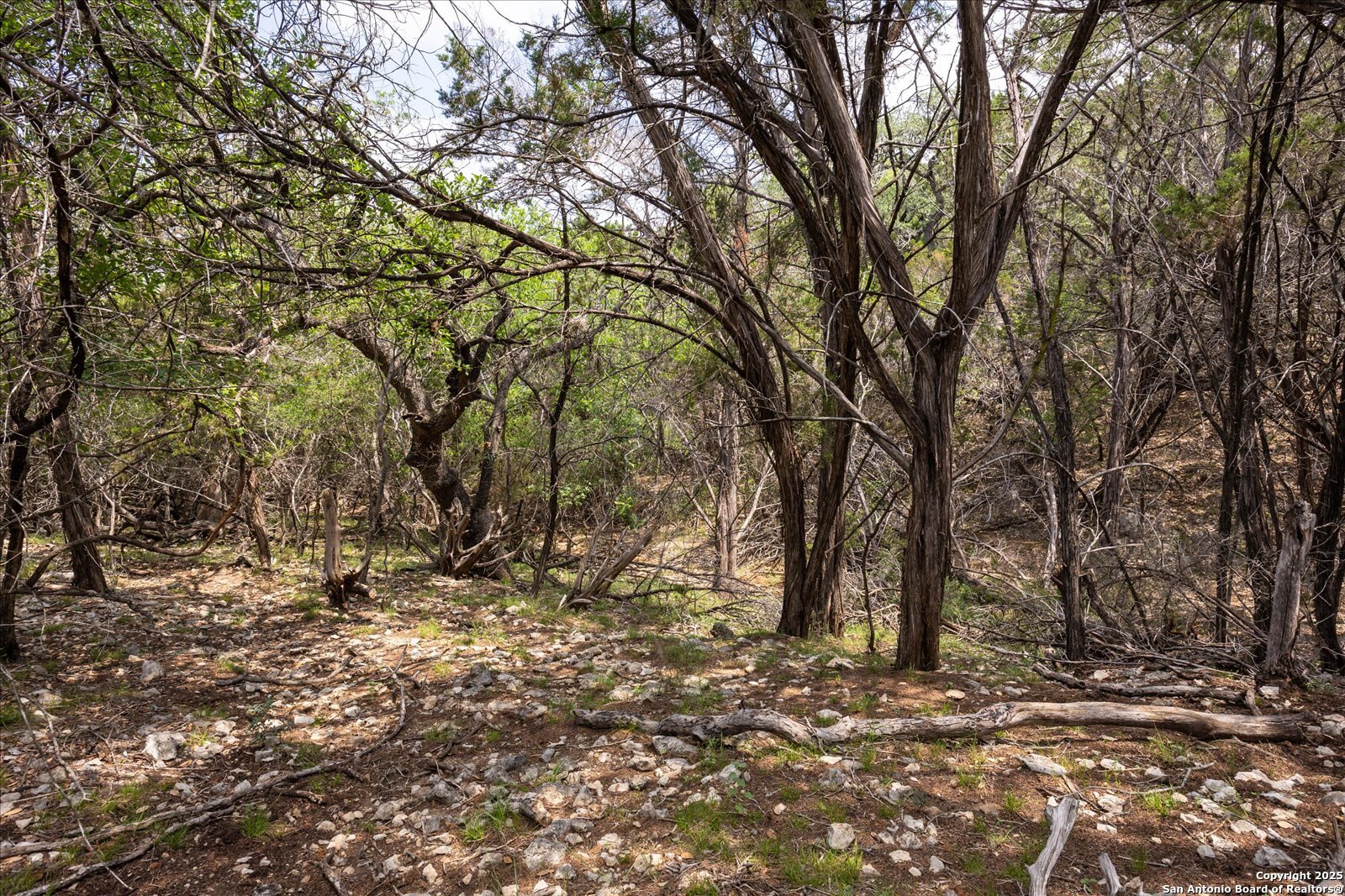 000 Oakridge Trail Pipe Creek TX 78063