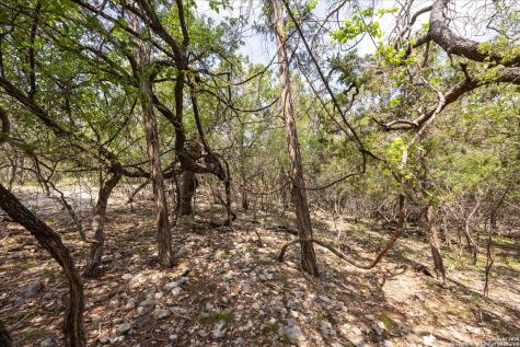 000 Oakridge Trail Pipe Creek TX 78063
