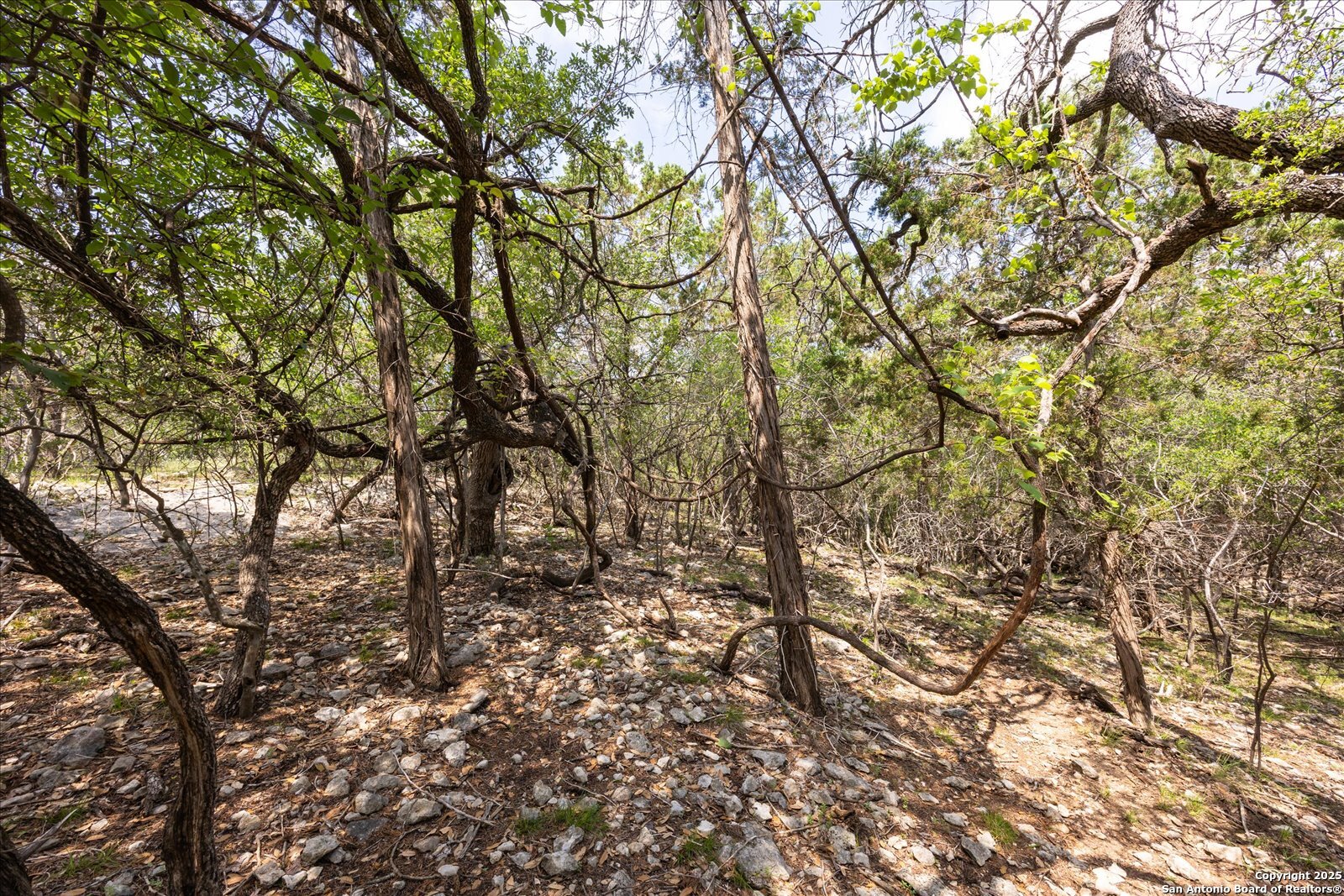 000 Oakridge Trail Pipe Creek TX 78063