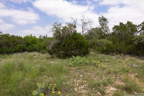 000 Oakridge Trail Pipe Creek TX 78063