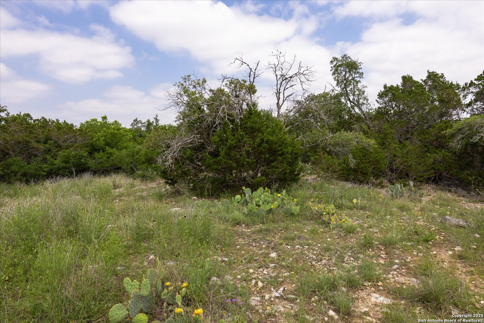 000 Oakridge Trail Pipe Creek TX 78063