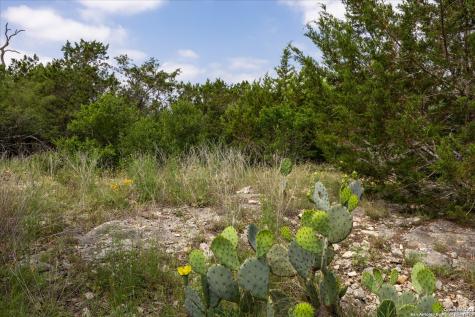 000 Oakridge Trail Pipe Creek TX 78063