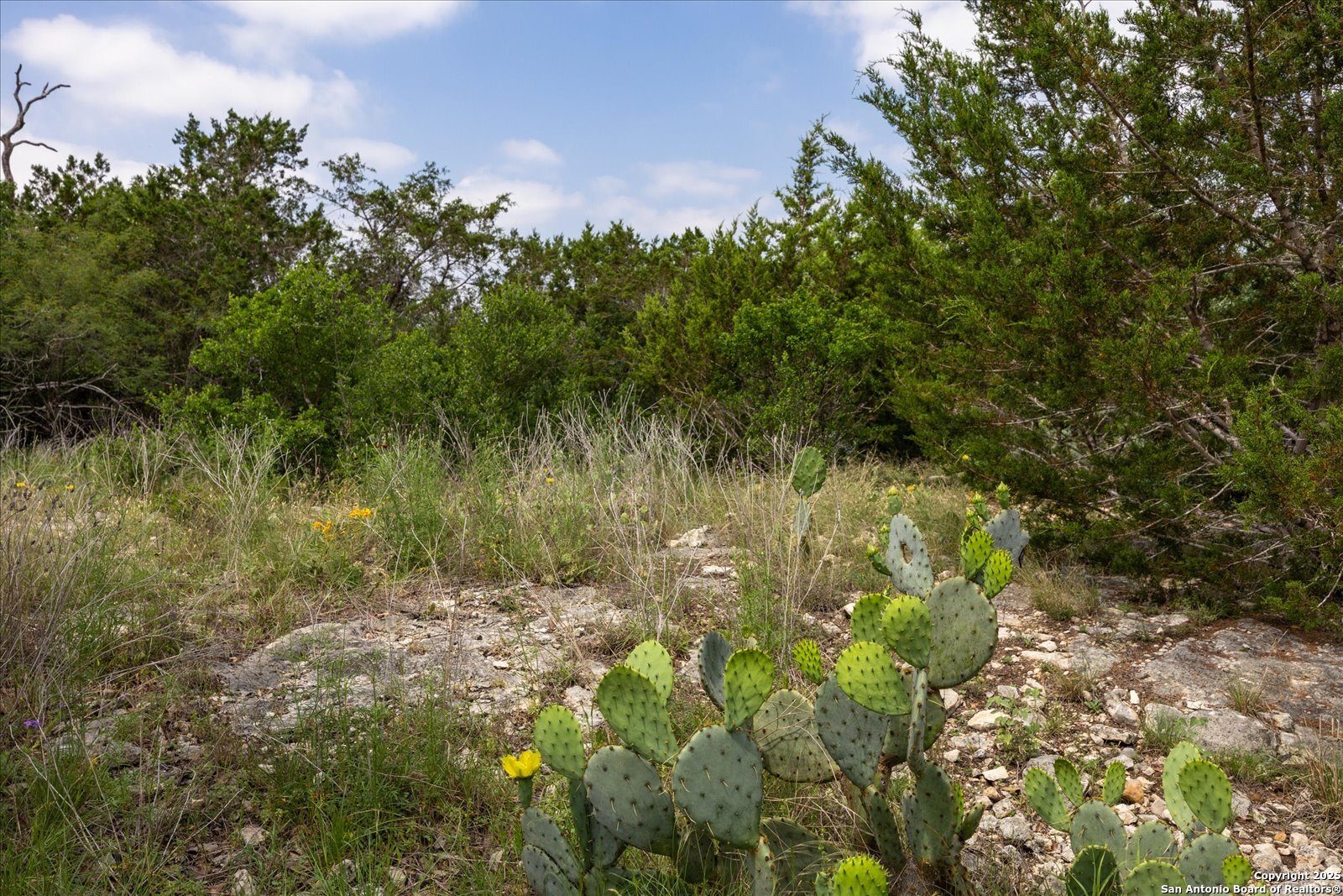 000 Oakridge Trail Pipe Creek TX 78063
