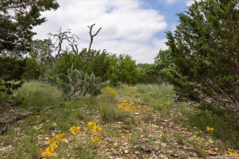 000 Oakridge Trail Pipe Creek TX 78063