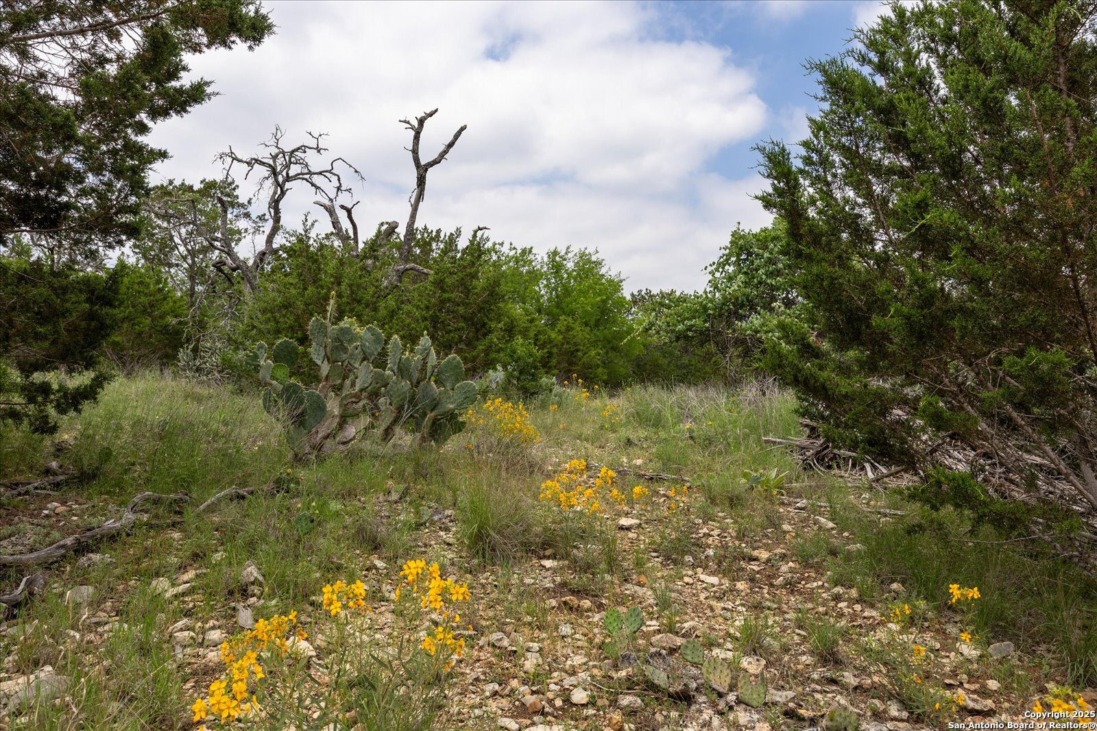 000 Oakridge Trail Pipe Creek TX 78063