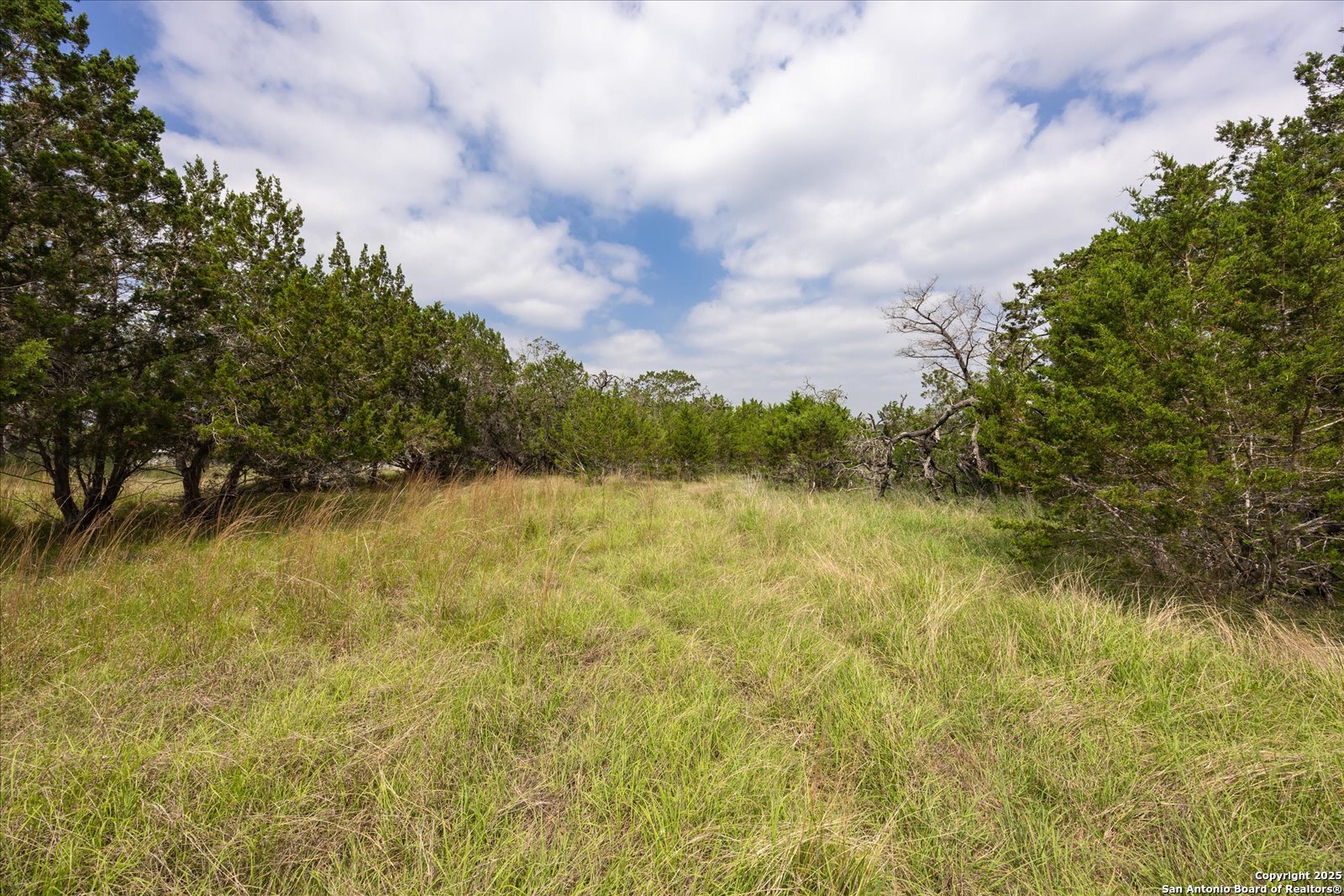 000 Oakridge Trail Pipe Creek TX 78063