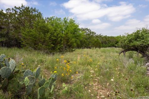 000 Oakridge Trail Pipe Creek TX 78063