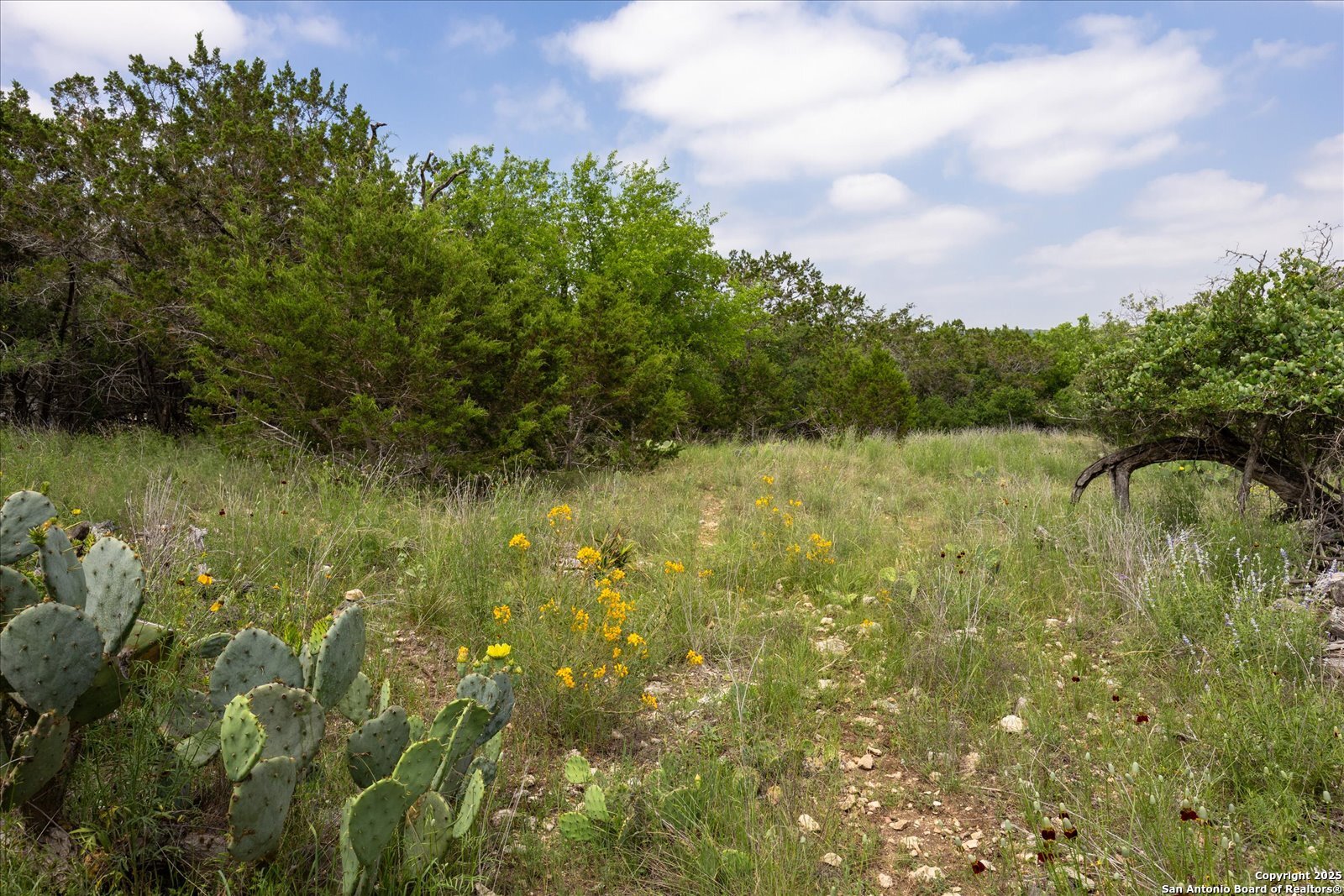 000 Oakridge Trail Pipe Creek TX 78063