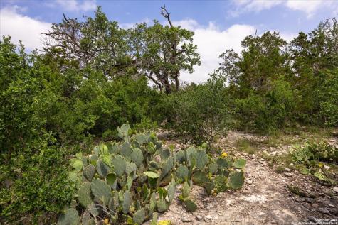 000 Oakridge Trail Pipe Creek TX 78063