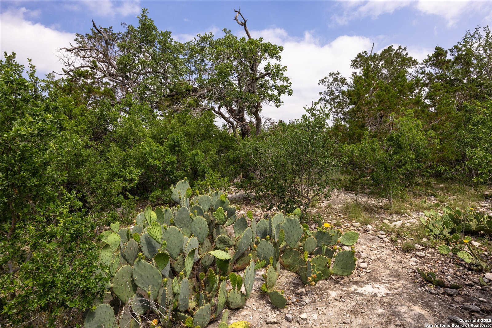 000 Oakridge Trail Pipe Creek TX 78063