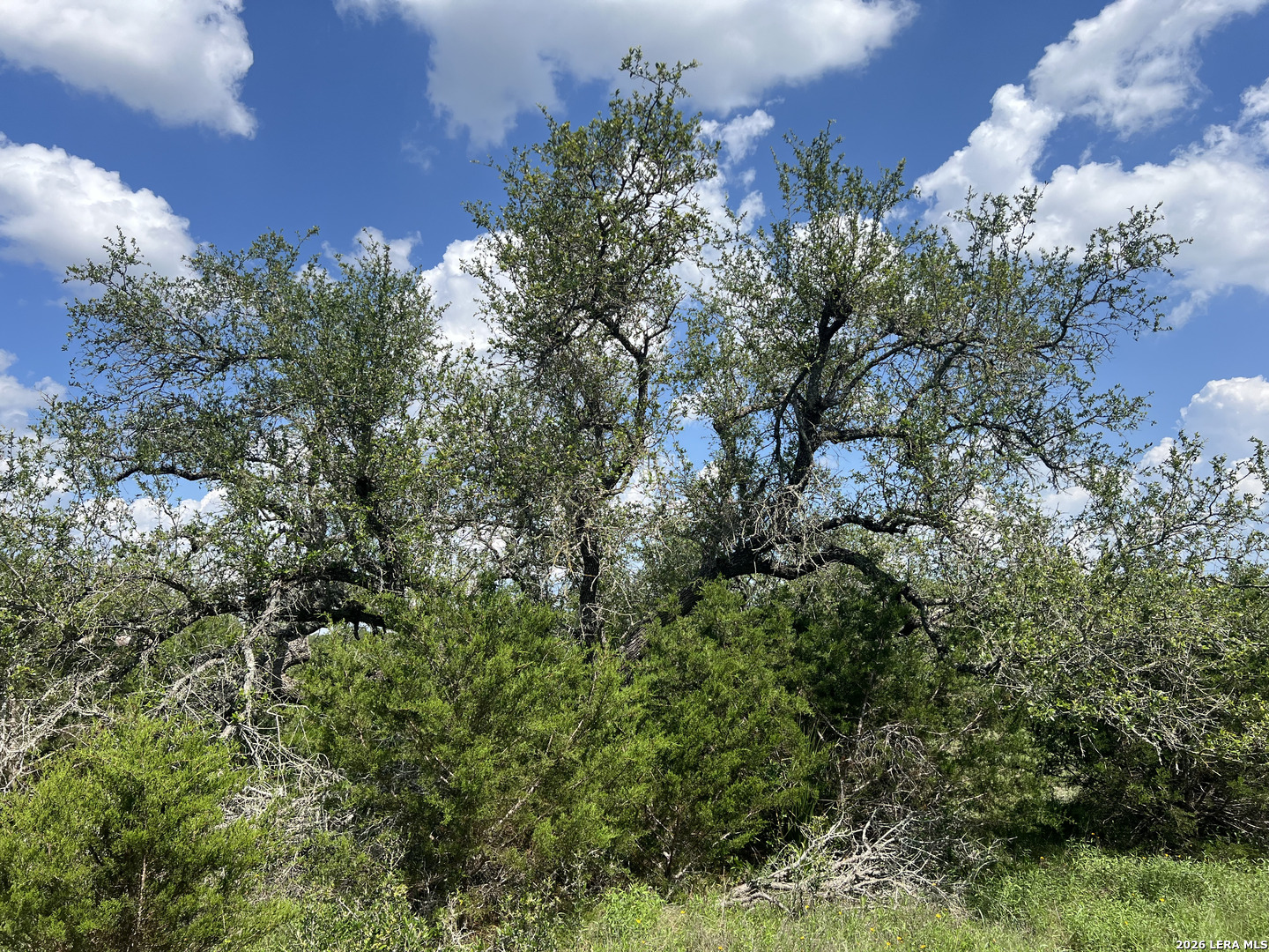636 Rock Trail Place Spring Branch TX 78070