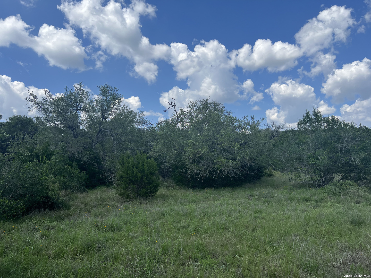 636 Rock Trail Place Spring Branch TX 78070