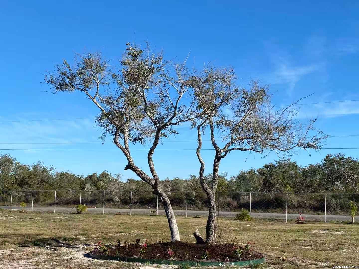1321 W Moore Avenue Aransas Pass TX 78336