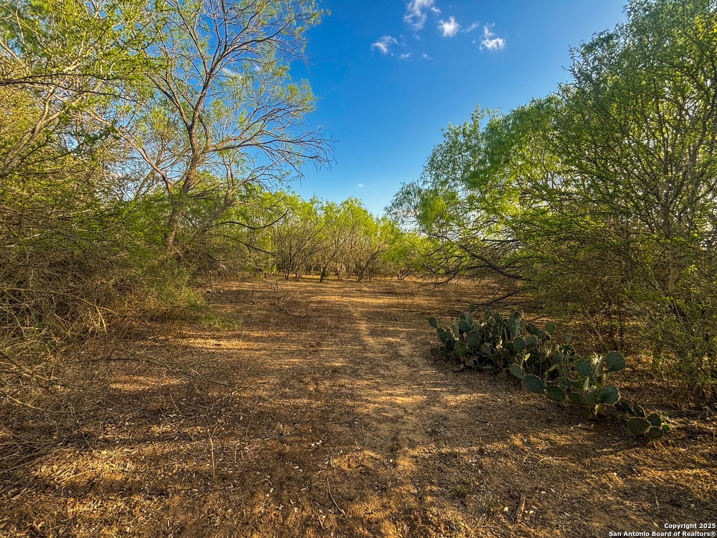 1715 S Loop 1604 E San Antonio TX 78264