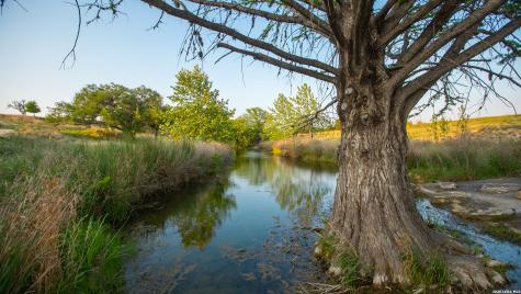 2991 Fm 470 Bandera TX 78003