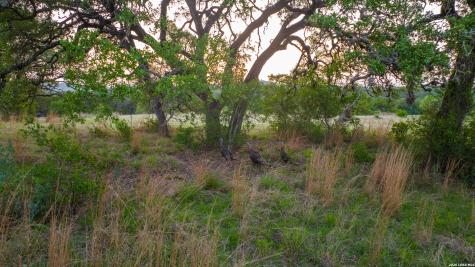 2991 Fm 470 Bandera TX 78003
