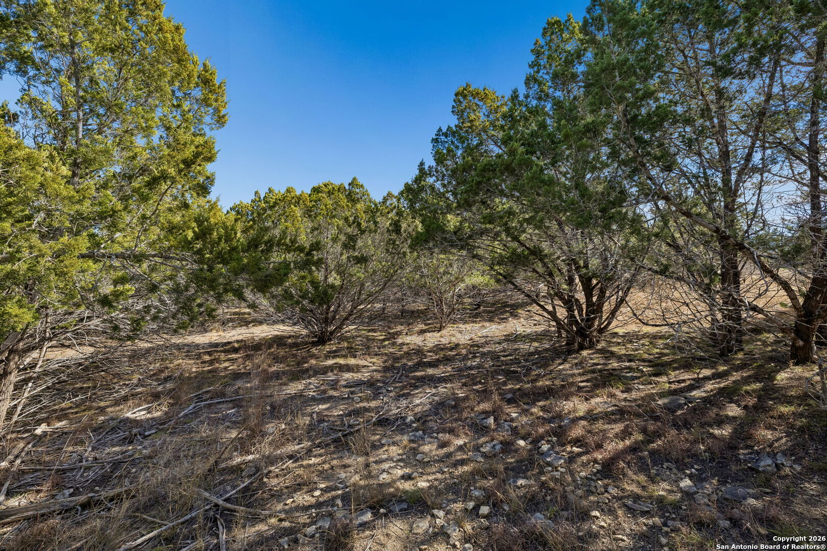 277 Palomino Springs Bandera TX 78003