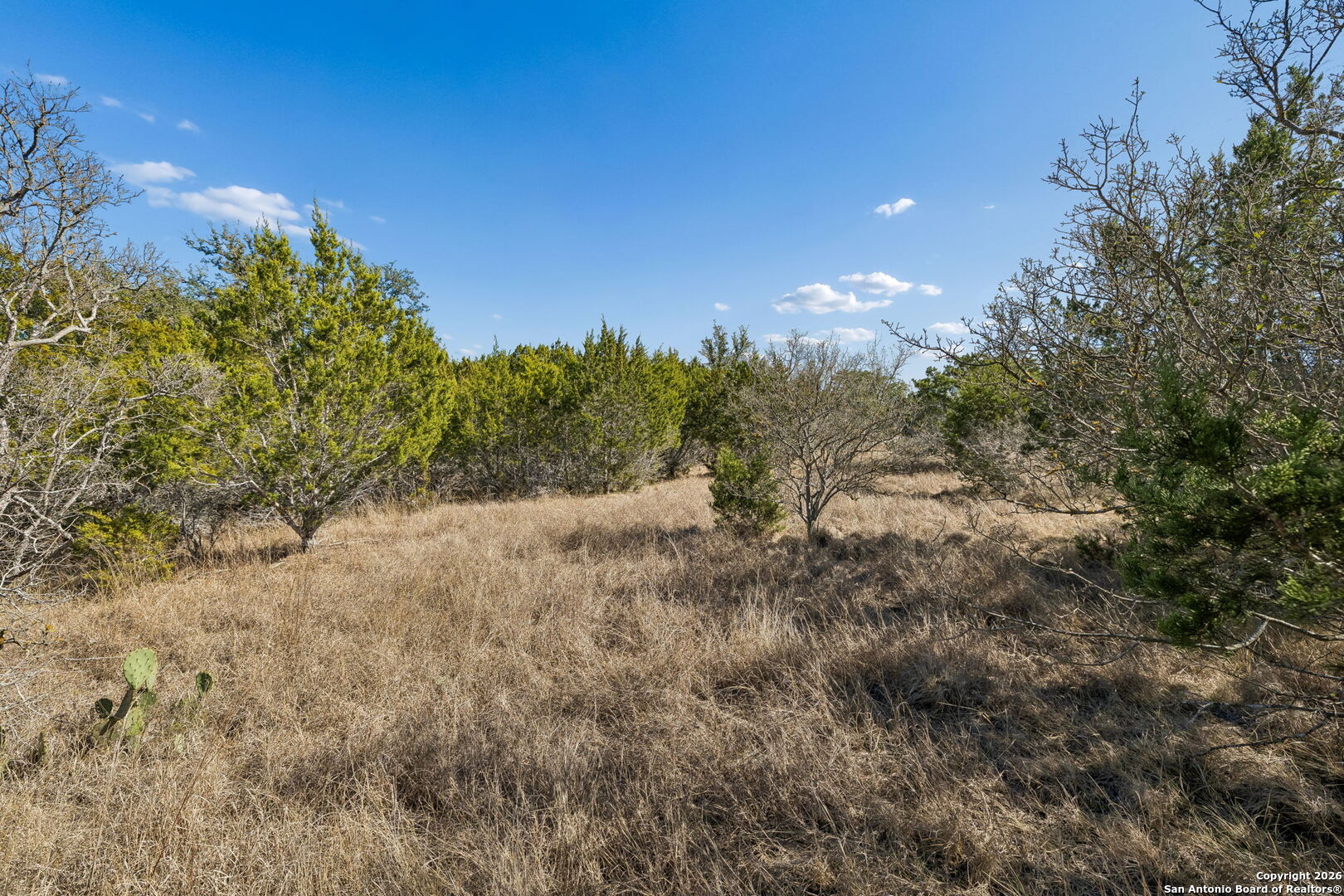 277 Palomino Springs Bandera TX 78003