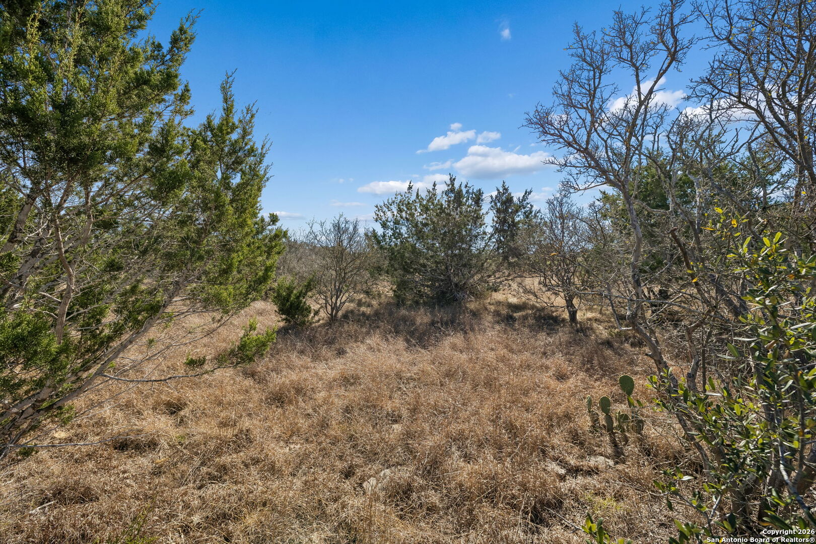277 Palomino Springs Bandera TX 78003