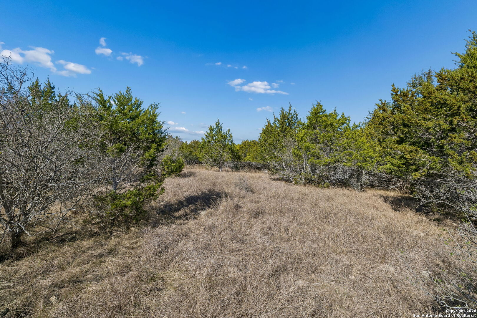 277 Palomino Springs Bandera TX 78003