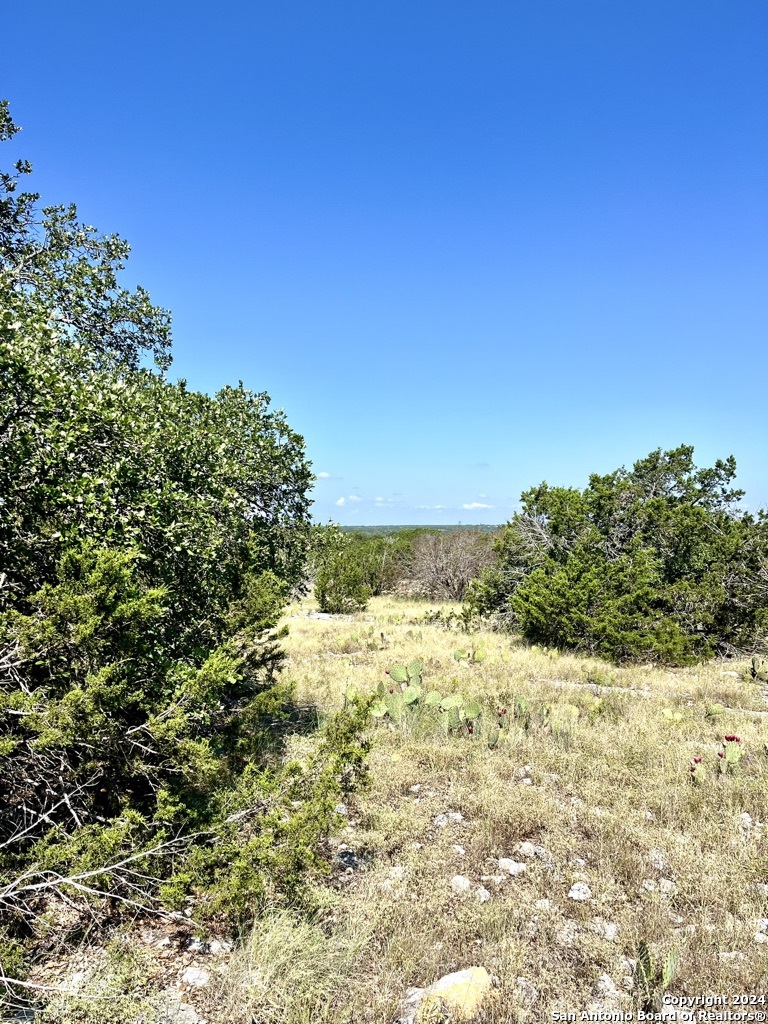 900 Alonzo Road Harper TX 78631