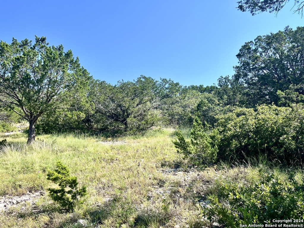 900 Alonzo Road Harper TX 78631