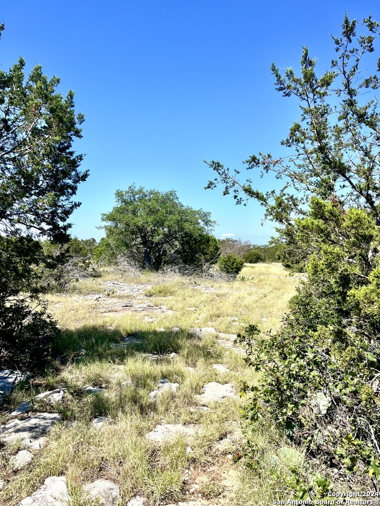 900 Alonzo Road Harper TX 78631