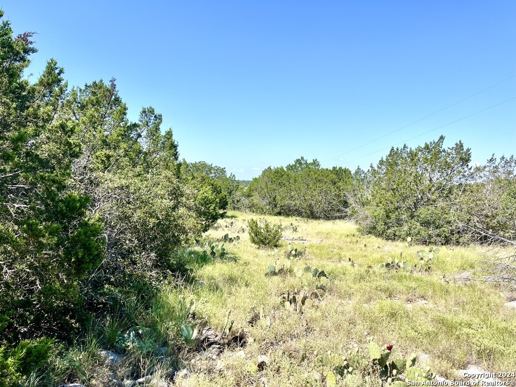 900 Alonzo Road Harper TX 78631