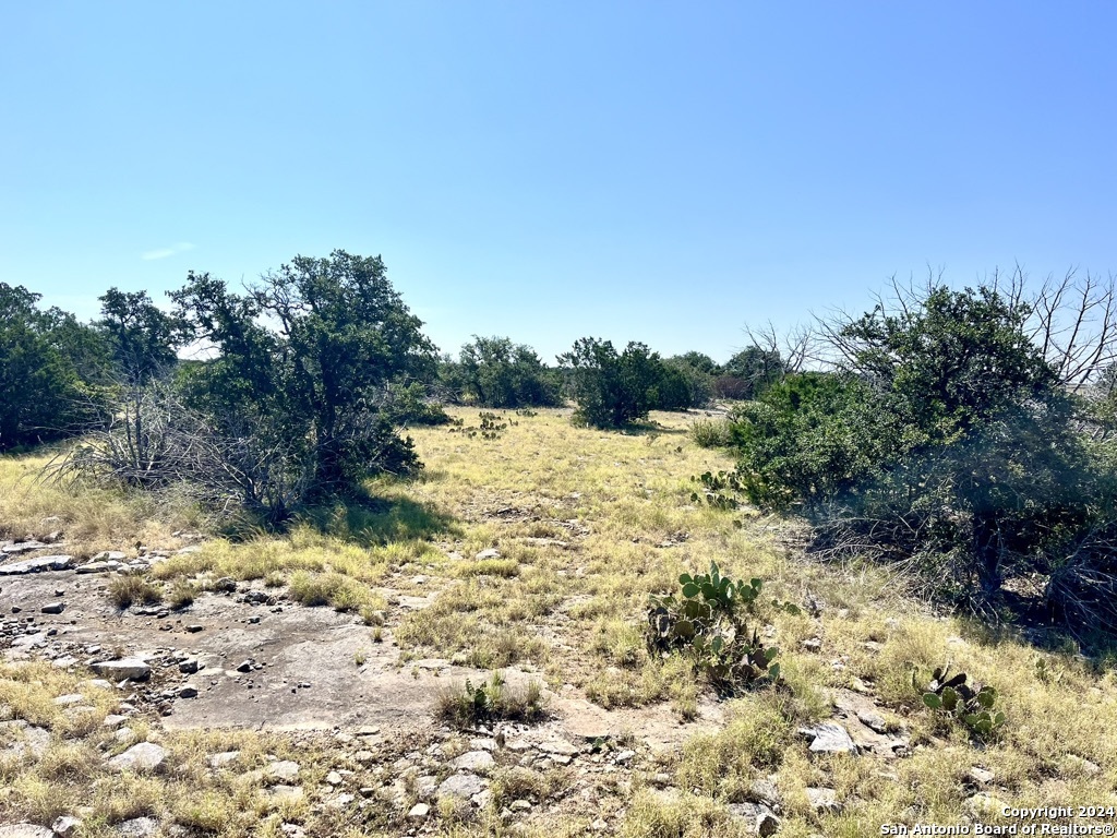 900 Alonzo Road Harper TX 78631