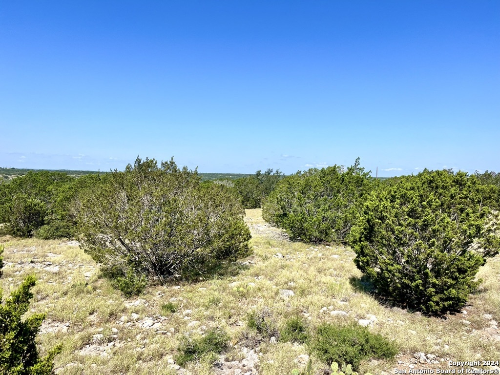 900 Alonzo Road Harper TX 78631