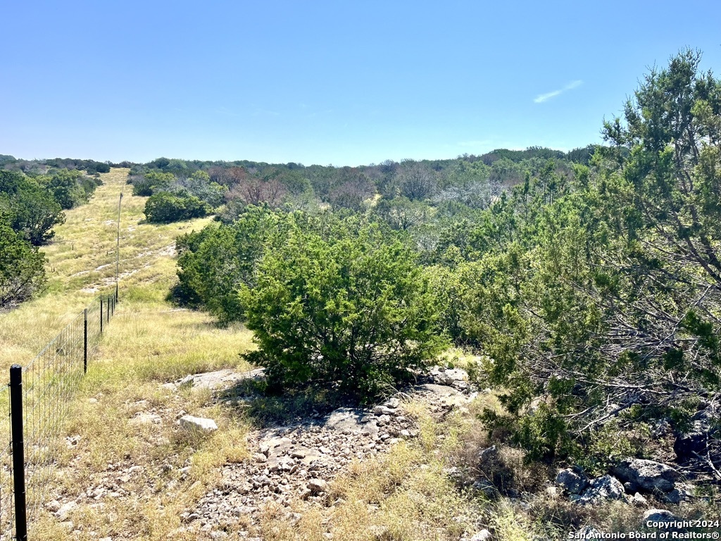 900 Alonzo Road Harper TX 78631