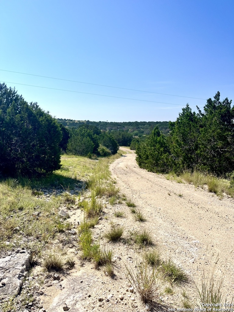 900 Alonzo Road Harper TX 78631