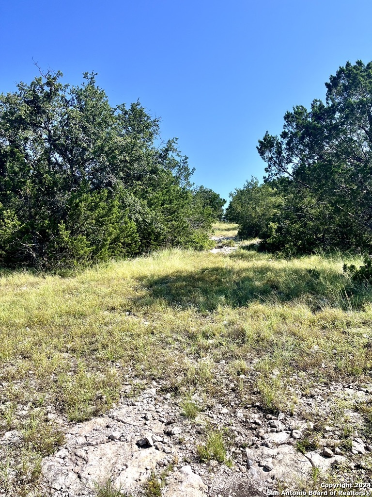 900 Alonzo Road Harper TX 78631
