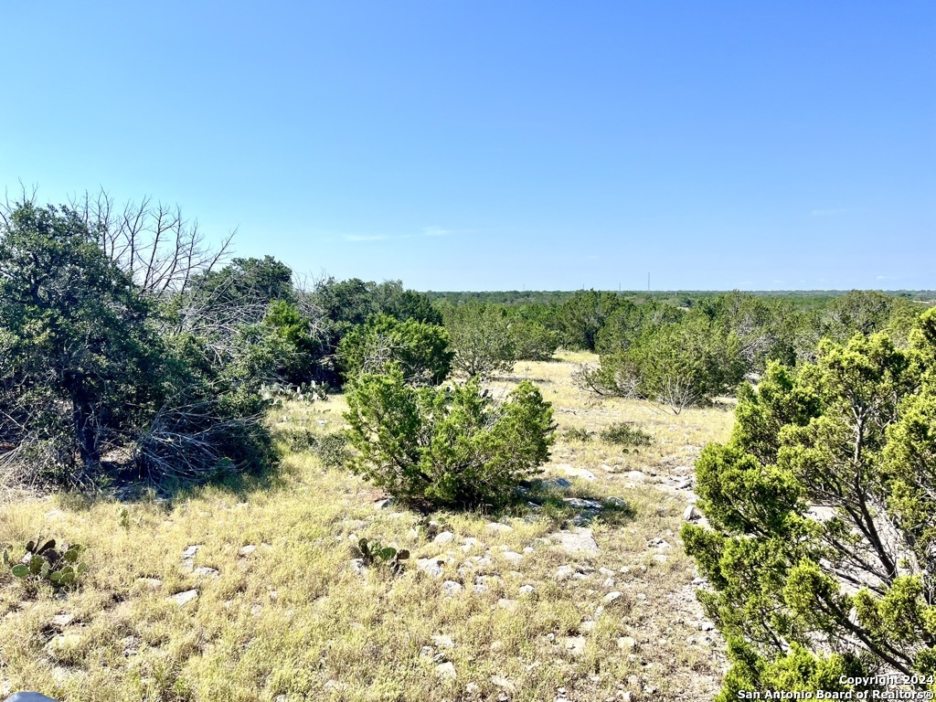 900 Alonzo Road Harper TX 78631