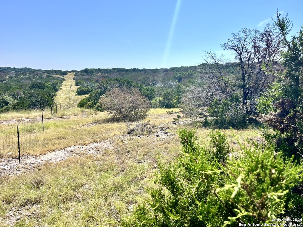 900 Alonzo Road Harper TX 78631