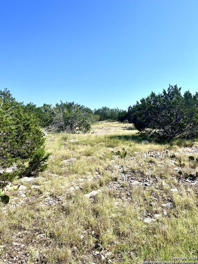 900 Alonzo Road Harper TX 78631