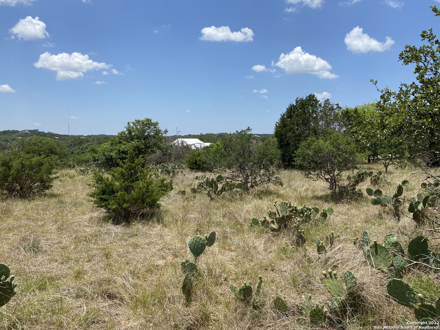 1408 Shady Hollow New Braunfels TX 78132